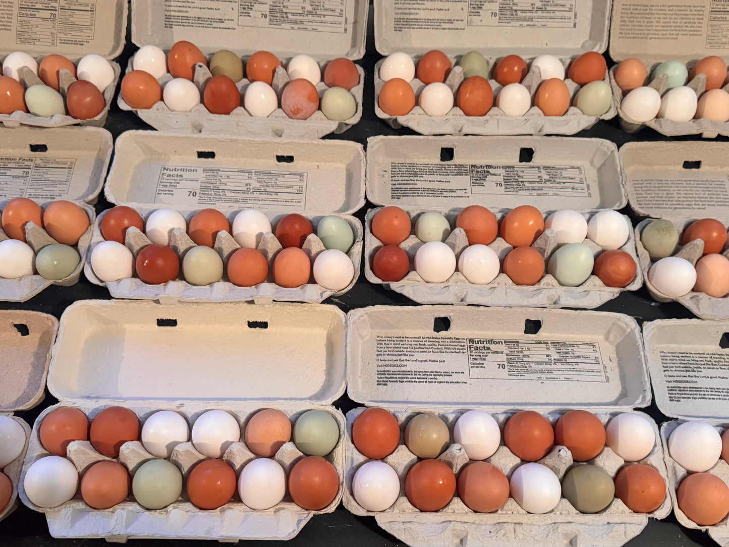Pasture-Raised Farm Fresh Chicken Eggs - 1 Dozen - Heritage Family Farms