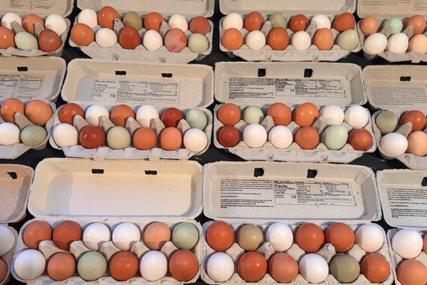 Pasture-Raised Farm Fresh Chicken Eggs - 1 Dozen - Heritage Family Farms
