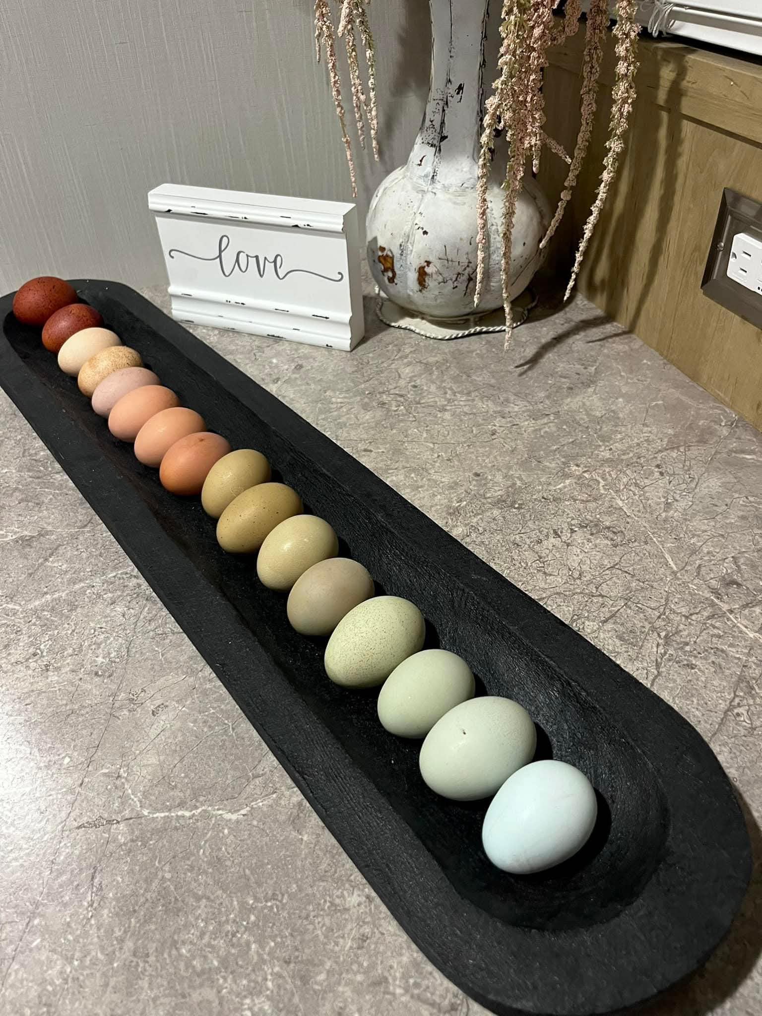Colorful farm eggs arranged in a row